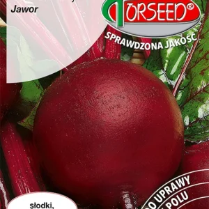 BURAK ĆW.JAWOR 10G
