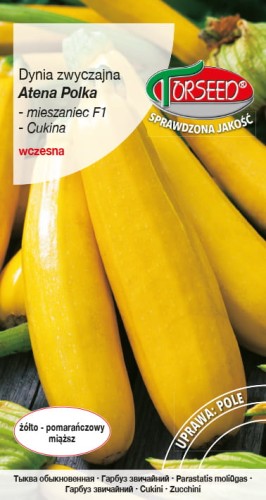 DYNIA ATENA POLKA 2G PL13012210L464/A