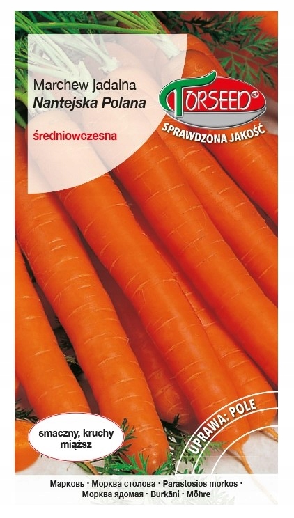 MARCHEW NANTEJSKA 5G PL812616105071A
