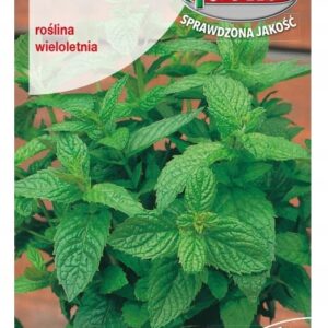 MIĘTA PIEPRZ. 0,1G PL33012210/1837A