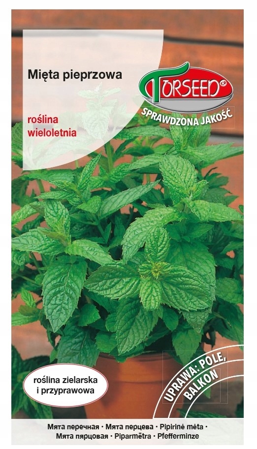 MIĘTA PIEPRZ. 0,1G PL33012210/1837A