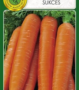 NW MARCHEW SUKCES 5G