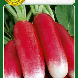 NW RZODKIEWKA OPOLANKAPL2046351/489/A