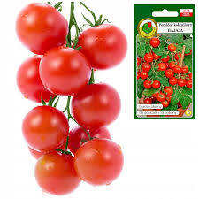 NWO POMIDOR BAJAJA 0,1G 800519027101