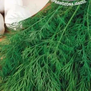 NW KOPER SZMARAGDPL1046351739A