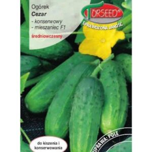 OGÓREK CEZAR 3G