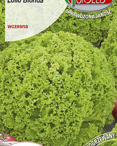 SAŁATA LOLLO BION 0,5G