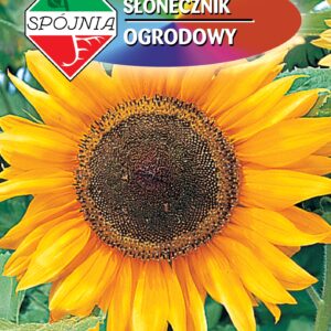 NW SŁONECZNIK OGRODOWYPL004/6351/657A