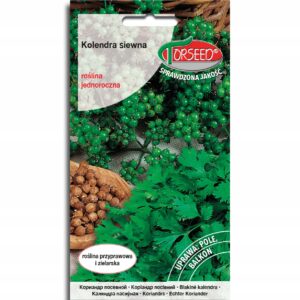 KOLENDRA SIEWNA 2G