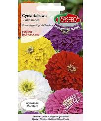 CYNIA DAL.MIESZ.1G