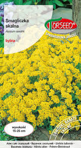 SMAGLICZKA SKAL.Ż.0.5G