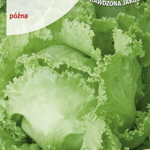 SAŁATA GŁ.KAMELOT 0,5G