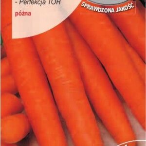 MARCHEW PERFEKCJA 8G