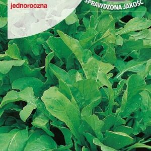 RUCOLA JEDNOR. 1G
